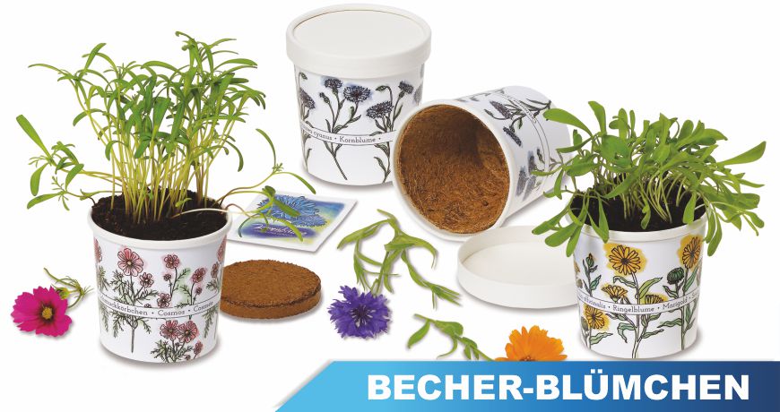 Becherblümchen bedruckt Bedruckte BecherBlümchen