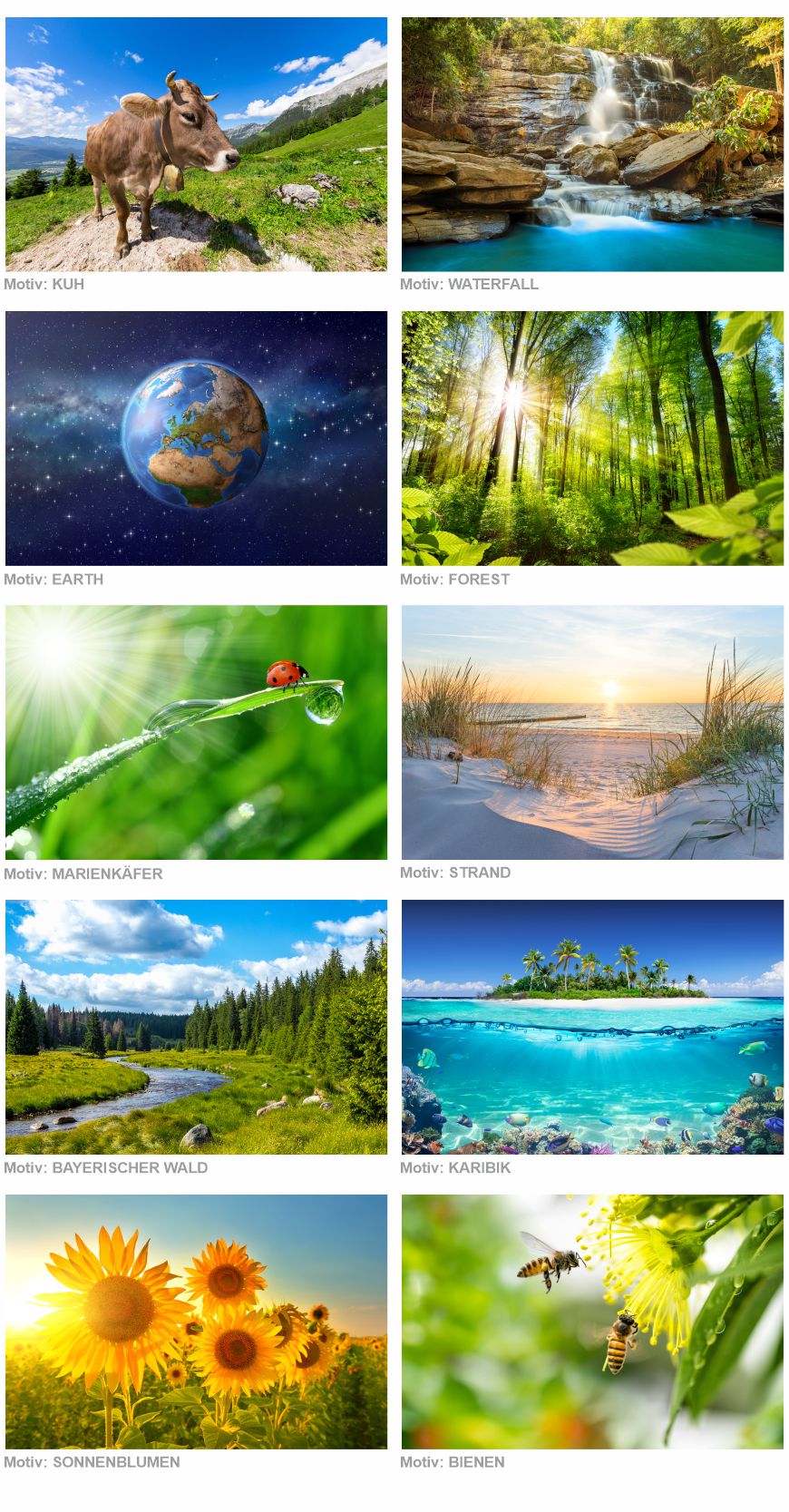 Naturmotive für Markisenbanner Sonnenschutz Planen