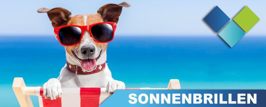 Sonnenbrillen bedruckt Mit Ihrem logo bedruckte Sonnenbrillen